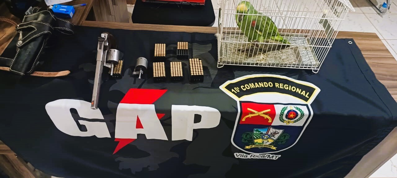 Homem é preso por importunação sexual, posse ilegal de arma de fogo e cativeiro animal silvestre