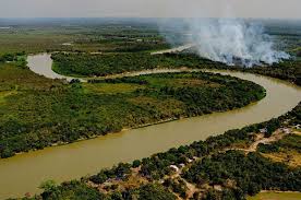 Senado aprova o “Estatuto do Pantanal” em caráter terminativo na Comissão de Meio Ambiente