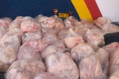 Polícia e Sema de MT flagram dupla com 569 kg de carne de jacaré