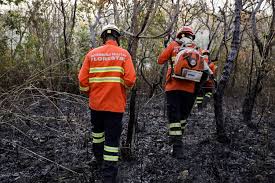 Corpo de Bombeiros combateu 15 incêndios florestais na quarta, 31. Fazendas de Porto Alegre do Norte, Canabrava do Norte e Luciara estão entre eles