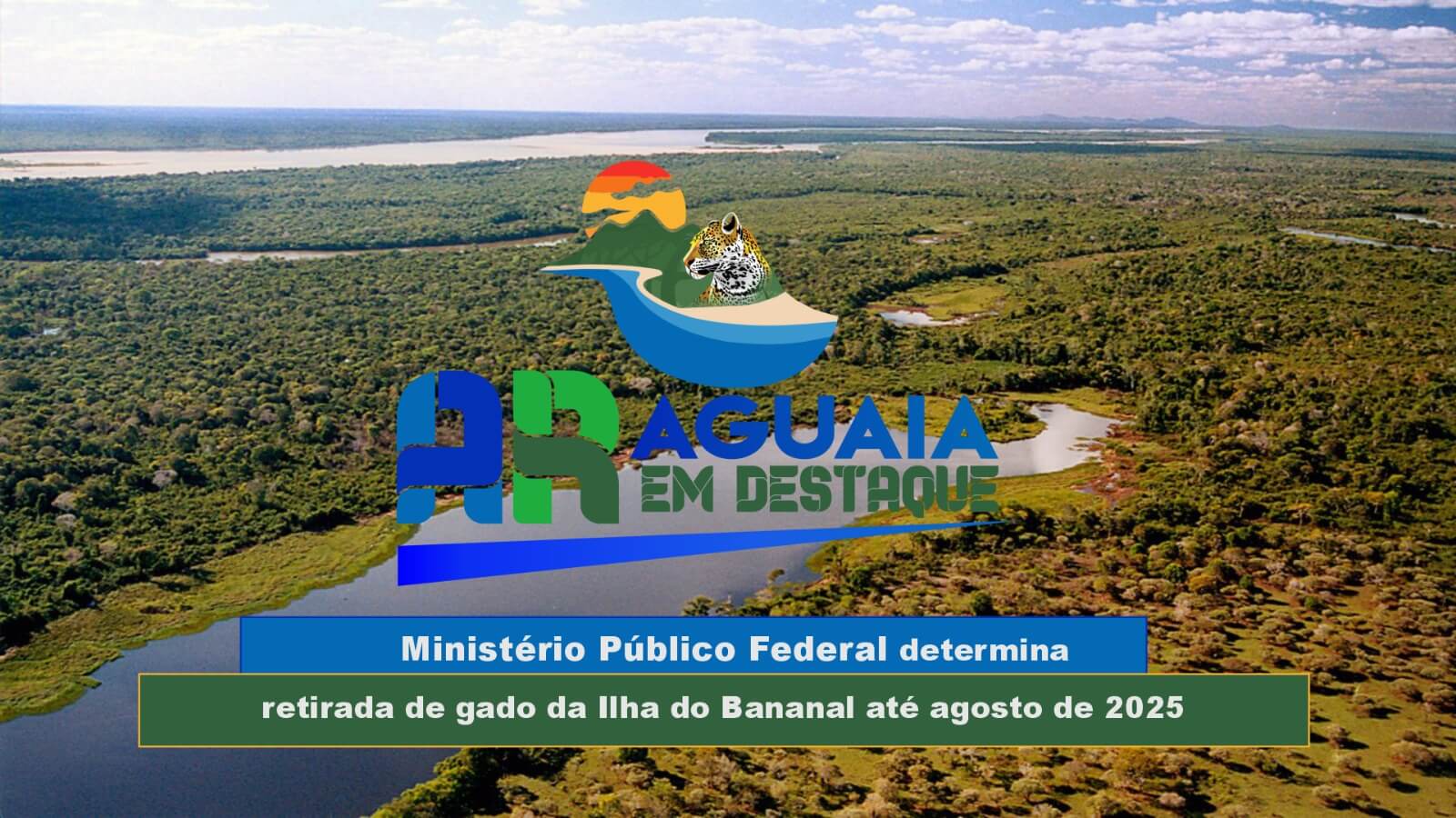 Ilha do Bananal: MPF determina retirada de gado até agosto de 2025 – vídeo