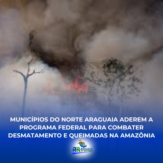 Municípios do Norte Araguaia aderem a programa federal para combater desmatamento e queimadas na Amazônia