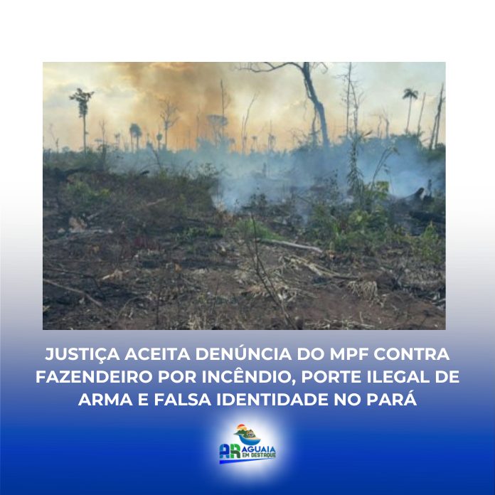 Justiça aceita denúncia do MPF contra fazendeiro por incêndio, porte ilegal de arma e falsa identidade no Pará