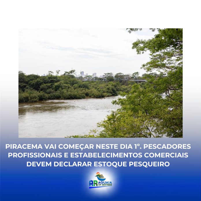 Piracema vai começar neste dia 1º. pescadores profissionais e estabelecimentos comerciais devem declarar estoque pesqueiro