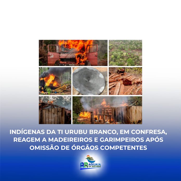 Indígenas da TI Urubu Branco, em Confresa, reagem a madeireiros e garimpeiros após omissão de órgãos competentes
