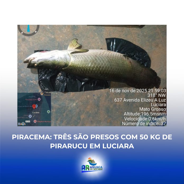 Piracema: três são presos com 50 kg de pirarucu em Luciara