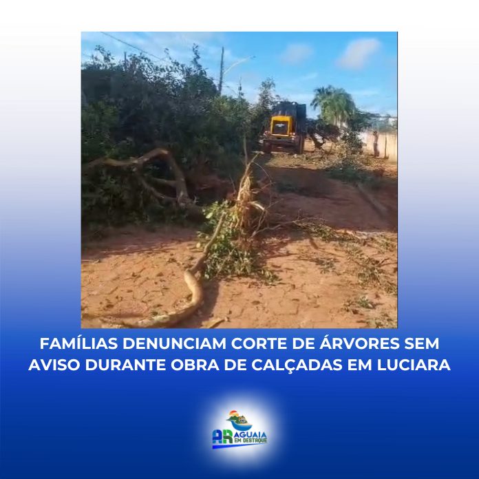 Famílias denunciam corte de árvores sem aviso durante obra de calçadas em Luciara